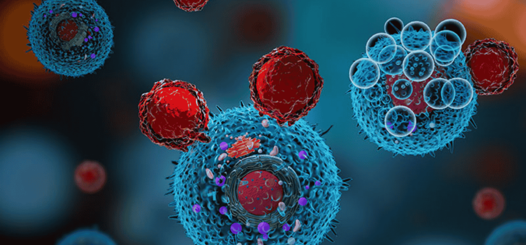 Advancements in Extracellular Vesicle (EV) Research