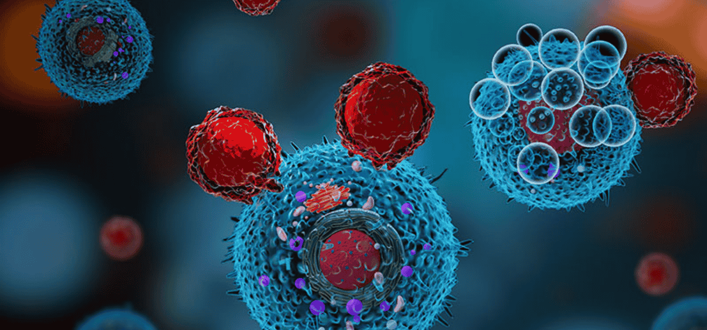 Advancements in Extracellular Vesicle (EV) Research