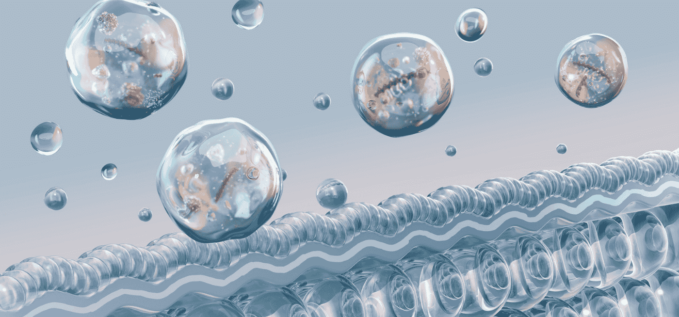 How EV Profiling Helps Understand Disease Biology