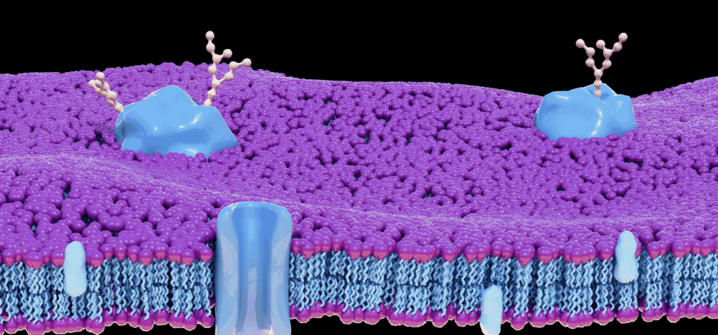 How EV Surface Proteins Reveal Cellular Communication