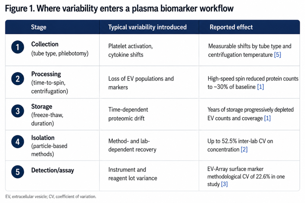 Where Variability Enters a Plasma Biomarker Workflow