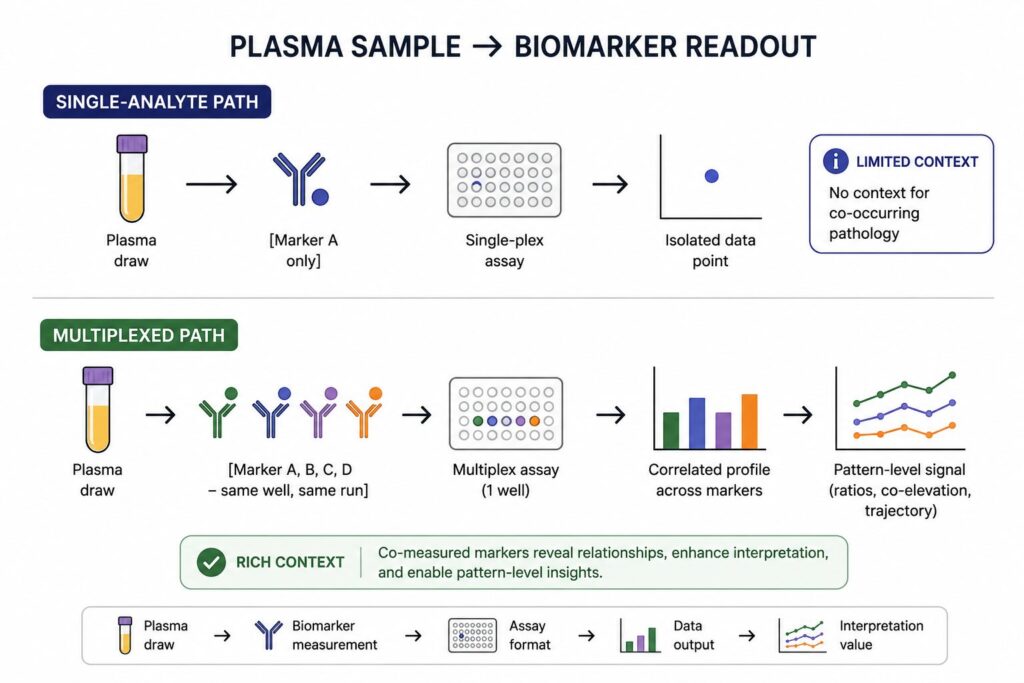 Minimalist infographic comparing single-analyte and multiplex biomarker testing workflows, illustrating how multiplex assays generate correlated biomarker profiles and richer biological insights from a single plasma sample.