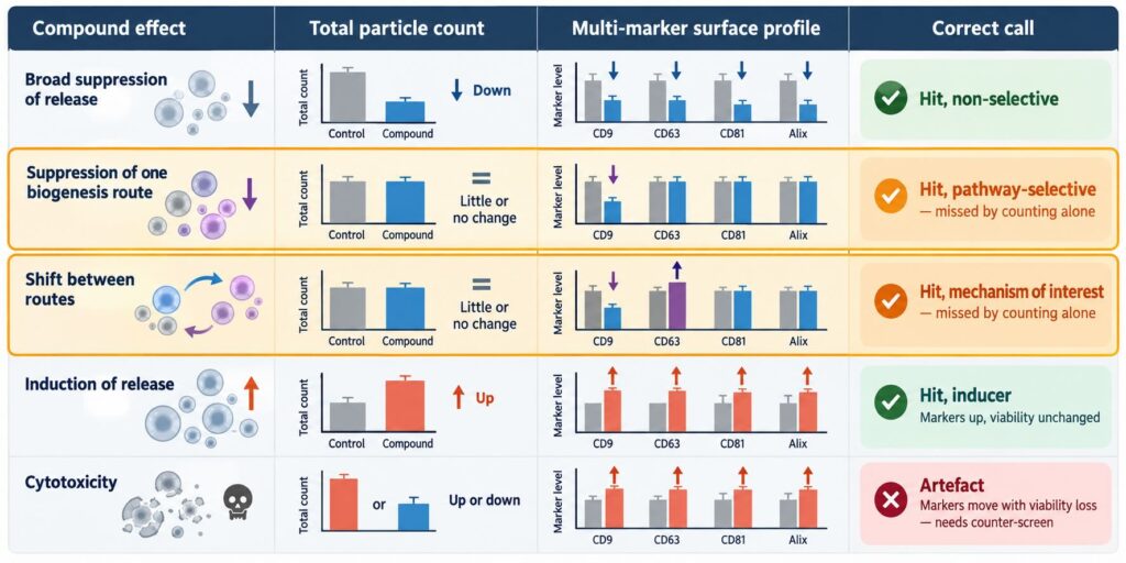 Infographic comparing five compound effects on extracellular vesicle release, showing how multi-marker surface profiling detects pathway-selective changes missed by total particle counting.